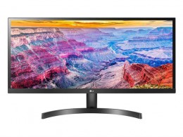 LG 29" 29WL500-B IPS Monitor (29WL500-B.AEU)