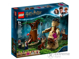LEGO ® Harry Potter™ 75967 A Tiltott Rengeteg: Összecsapás Umbridge