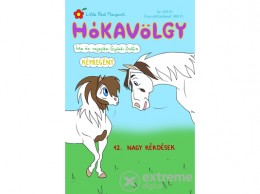 Gyükér Zsófia ev Gyükér Zsófia - Hókavölgy 12. - Nagy kérdések