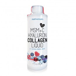 Nutriversum WSHAPE MSM+C Hyaluron Collagen Liquid 500 ml