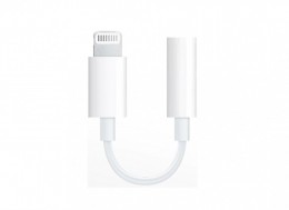 IOS lighting/AUX adapter